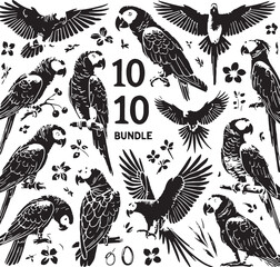 Black Color African Grey Parrot Silhouette Vector Illustration, Solid White Background. minimal vector design