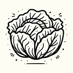 Fresh Cabbage Vegetable Line Art Illustration