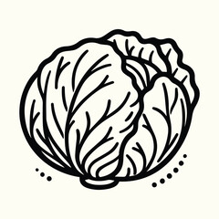 Fresh Cabbage Vegetable Line Art Illustration