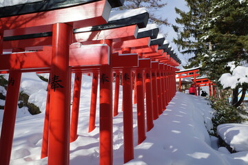雪化粧の鳥居道、静寂に包まれて