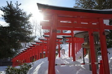 冬景色に映える千本鳥居