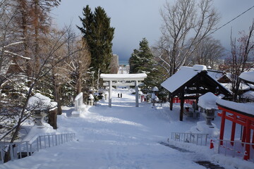 心が洗われるような、雪景色と朱色のハーモニー