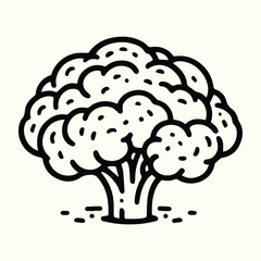 Cauliflower Line Art Illustration