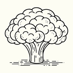 Cauliflower Line Art Illustration