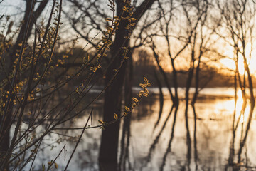 Beautiful springtime landscape. Spring sunset, tree buds, river banks with trees