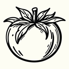 Tomato Line Art Illustration