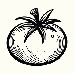 Tomato Line Art Illustration