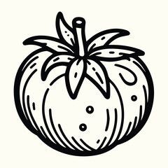 Tomato Line Art Illustration