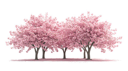 A picturesque view of blooming cherry trees, showcasing vibrant pink flowers against a serene backdrop, symbolizing beauty and renewal in nature.