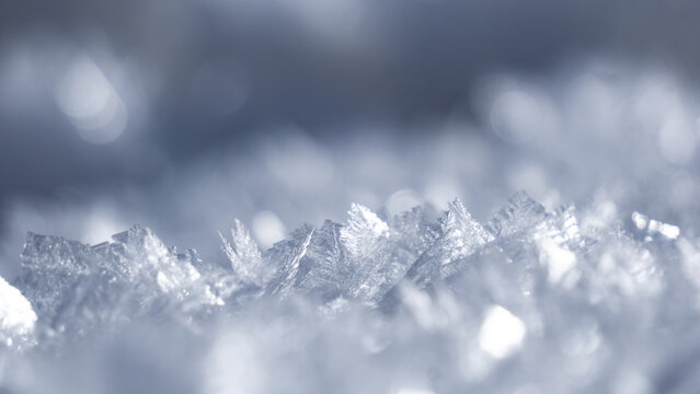 Ice cristals formed after a freezing night