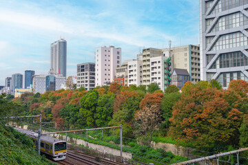Fototapeta premium 御茶ノ水の風景