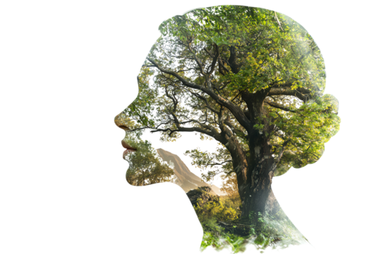 A unique artistic representation blending human and nature elements, showcasing a tree within a human silhouette, symbolizing harmony and growth.