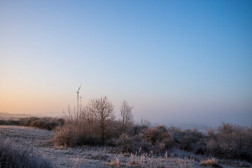 winter landscape with trees and snow