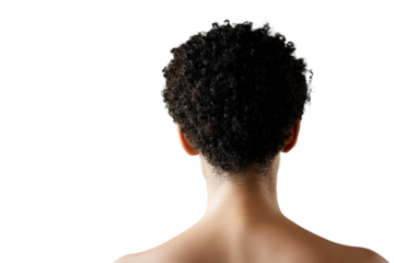 A close-up image of the back of a person's head with curly hair, emphasizing texture and natural beauty in a minimalistic composition.,Isolated on transparent background