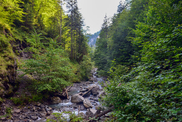 Die Bürser Schlucht in Bürs, Bürserberg und Brand im Bezirk Bludenz in Vorarlberg