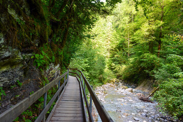 Fototapeta premium Wanderweg in der Bürser Schlucht in Bürs, Bürserberg und Brand im Bezirk Bludenz in Vorarlberg