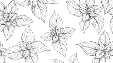 Natural Pattern of Hand-Drawn Basil Seeds with Intricate Detailing on Clean White Background