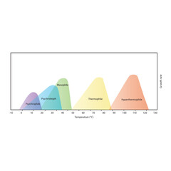 Diagram showing ideal bacterial growth temperature - Psychrophile, psychrotroph, mesophile, thermophile and hyperthermophile