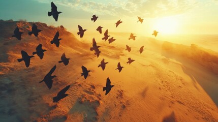 Birds Flying In Formation Over Sandy Landscape During Sunset