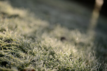 Vorlage Hintergrund für Gartenbau mit Eis im Gras Rasen. Weißer Winterpause Baugrund Hintergrund.