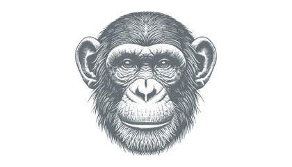 chimpanzee vector  | chimpanzee illustration | chimpanzee silhouette | chimpanzee tattoo | chimpanzee engraving | chimpanzee drawing	