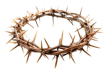 crown of thorns on white background