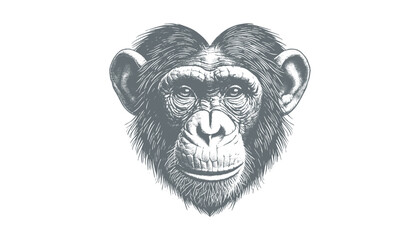 chimpanzee vector  | chimpanzee illustration | chimpanzee silhouette | chimpanzee tattoo | chimpanzee engraving | chimpanzee drawing	