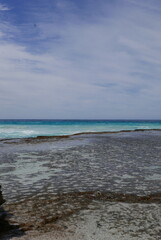 Pennington Bay in Kangaroo Island, near South Australia, is a nature haven known for wildlife like kangaroos, seals, and koalas, plus rugged cliffs, beaches, Flinders Chase National Park, and Seal Bay