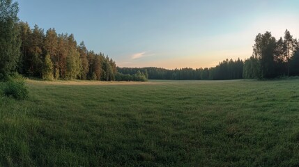 Obraz premium Stunning summer landscape at sunset panoramic view of green fields and trees in the countryside