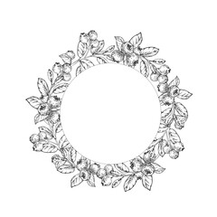 Blueberry vector black and white wreath hand drawn with ink. Round frame with leaves, berries of bilberry on a white background. Template for label design