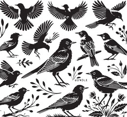 Black Color American Robin Silhouette Vector Illustration, Solid White Background. minimal vector design
