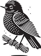 Black Color American Robin Silhouette Vector Illustration, Solid White Background. minimal vector design