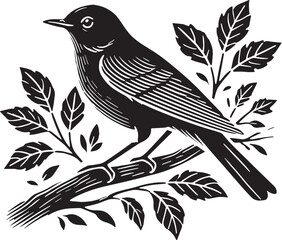 Black Color American Robin Silhouette Vector Illustration, Solid White Background. minimal vector design