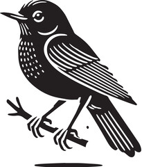 Black Color American Robin Silhouette Vector Illustration, Solid White Background. minimal vector design