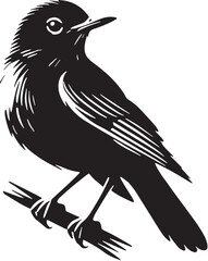 Black Color American Robin Silhouette Vector Illustration, Solid White Background. minimal vector design