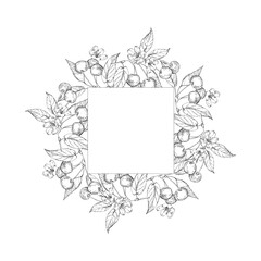 Cherry vector black and white wreath hand drawn with ink. Round frame with leaves, berries of cherry on a white background. Template for label design