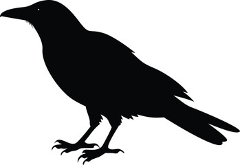 Obraz premium Peace Dove Silhouette Artwork – SVG Graphic