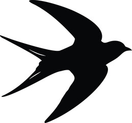 Obraz premium silhouette of a eagle