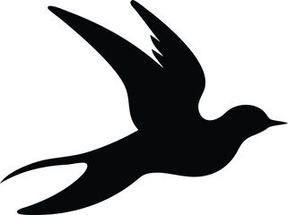 Black Dove Illustration for Peace and Unity
