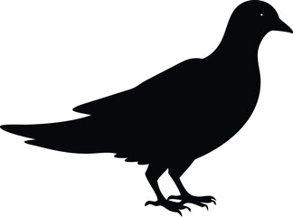 Custom Dove Silhouette Design – Vector File