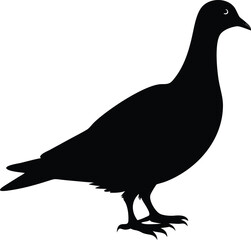 Custom Dove Silhouette Design – Vector File