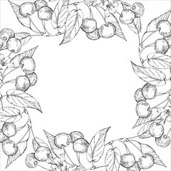 Cherry vector black and white frame hand drawn with ink. Border with leaves, berries of cherry on a white background. Template for label design