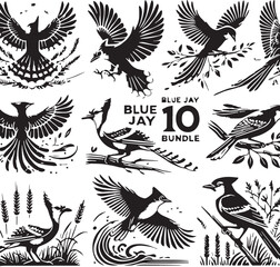 Black Color Blue Jay Silhouette Vector Illustration, Solid White Background. minimal vector design