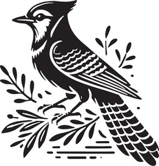 Black Color Blue Jay Silhouette Vector Illustration, Solid White Background. minimal vector design