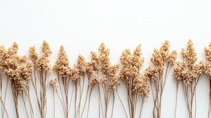 Natural Dried Flowers Arrangement on Light Background for Decor