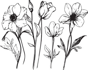 A set of flowers silhouettes for flat design. Hand drawn vector illustration