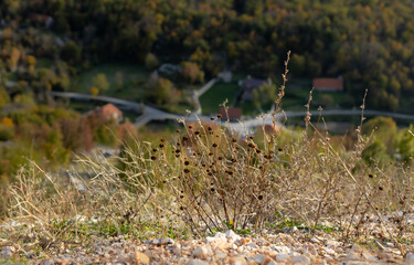 Dry grass on the blurred background of a mountain village.copy space