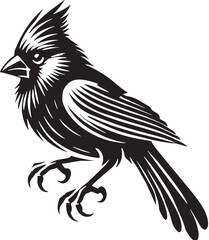 Black Color Cardinal Silhouette Vector Illustration, Solid White Background. minimal vector design