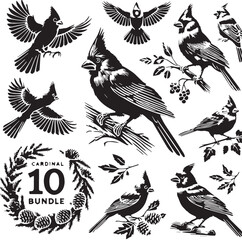 Black Color Cardinal Silhouette Vector Illustration, Solid White Background. minimal vector design