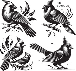 Naklejka premium Black Color Cardinal Silhouette Vector Illustration, Solid White Background. minimal vector design